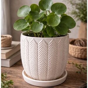 Isola Galleria Textured Ceramic Flower Pot Saucer White Herringbone‎ Design